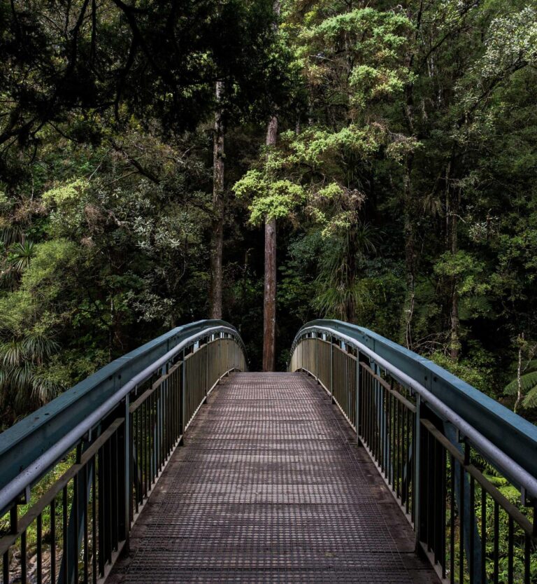 Repudiandae magni aut assumenda