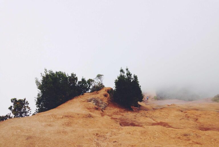 Deserunt dolor qui sint ut et odio